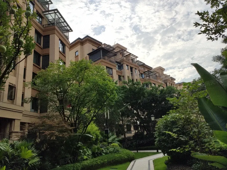 实景图