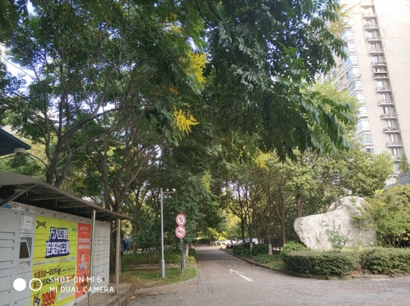 钟山花园城实景图