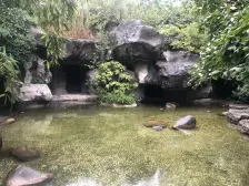 万体馆明星楼盘,楼皇高区,花园C位,可改南北通三房