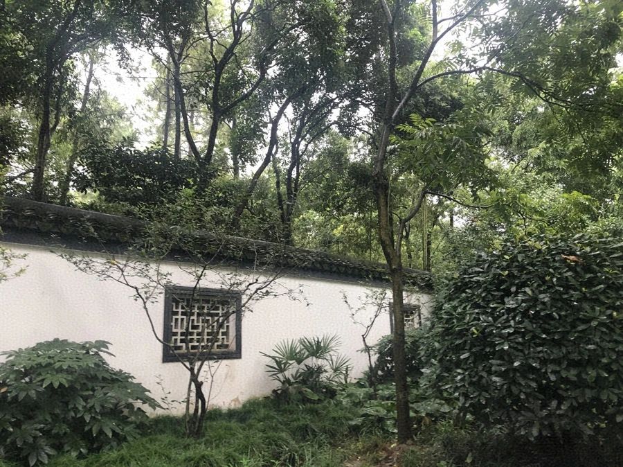 小区相关图