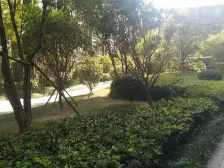 万科品质,青山湖畔,民水民电,精装家电家具齐全,拎