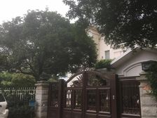 碧桂园独栋别墅,前后花园近400平