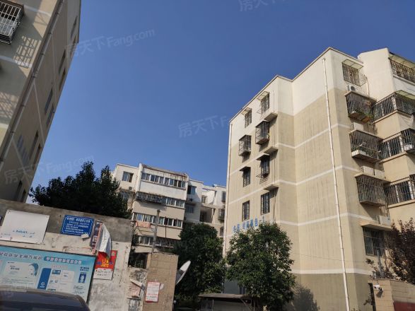 岭南春色实景图