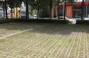 金海怡景花园实景图