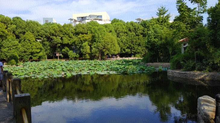 武汉泰合百花公园图片