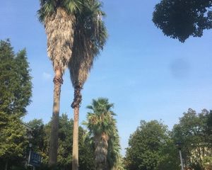 山水芙蓉国际新城4室2厅南北