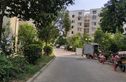 岭南春色实景图