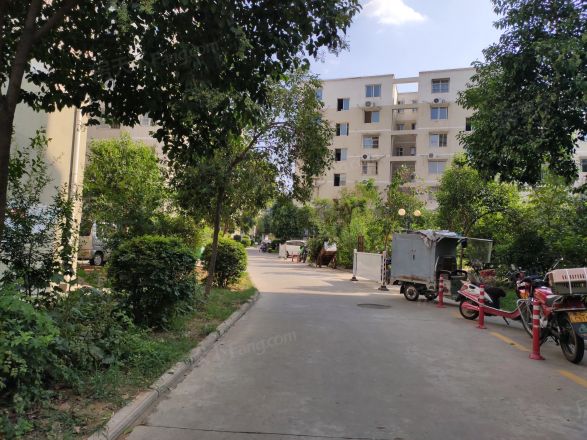 岭南春色实景图