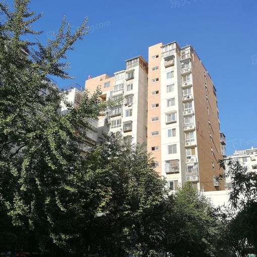  ���⡤�����š���̩����������3�� 