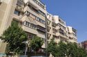 岭南春色实景图