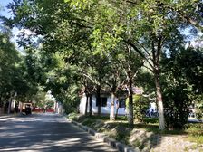 锦林花园5室3厅南