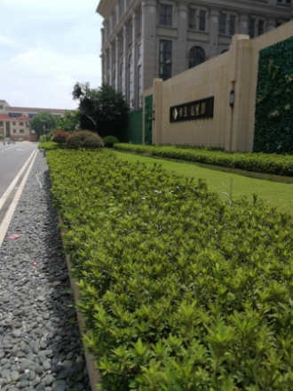 卓越蔚蓝郡实景图