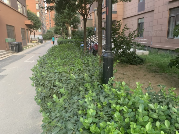 北京城建福润四季A区实景图