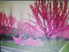 天誉誉府 4室2厅 南