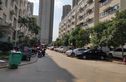 岭南春色实景图