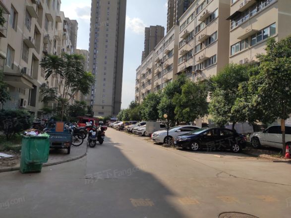 岭南春色实景图