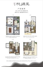 碧桂园·桃源里4室2厅1厨2卫建面380.00㎡