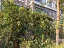 腾骐冠宸花园 1室1厅 南