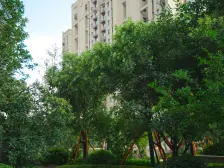 满五唯一 在售同户型房源少 格局好 中间楼层 无遮挡