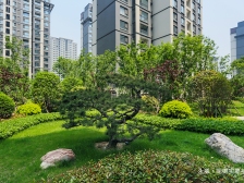 航空港区品质小区永威南樾瑞苑82平2室1厅1厨1卫