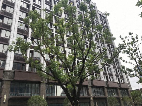 【上海尚峰名邸小区,二手房,租房】- 上海房天下