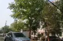 看丹苑实景图