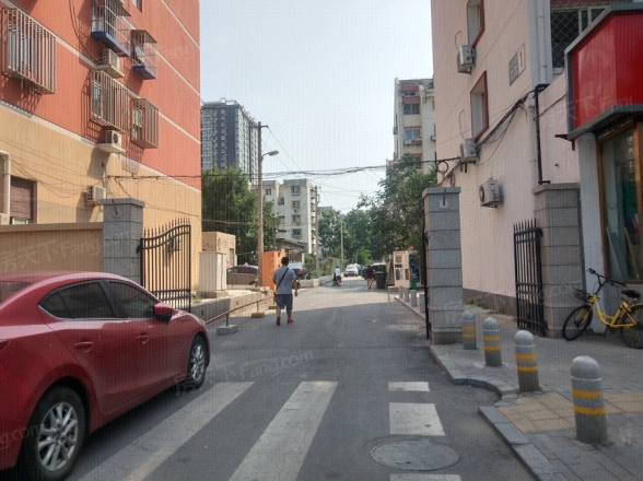 看丹苑实景图