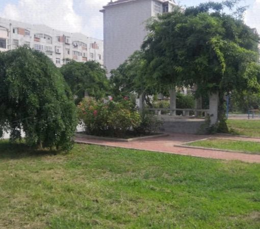  ���⡤��ԷС��(Ĳƽ) 2��2�� ��/�� 
