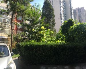 翠微东里业主诚心出售带电梯视野好方正一居
