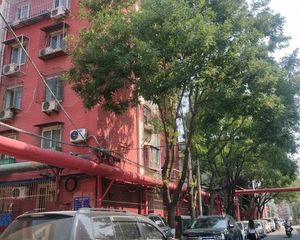 建国街二里2室1厅南北