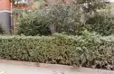 龙泉花园实景图