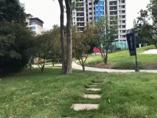 蔡家 金科城37区四房150万