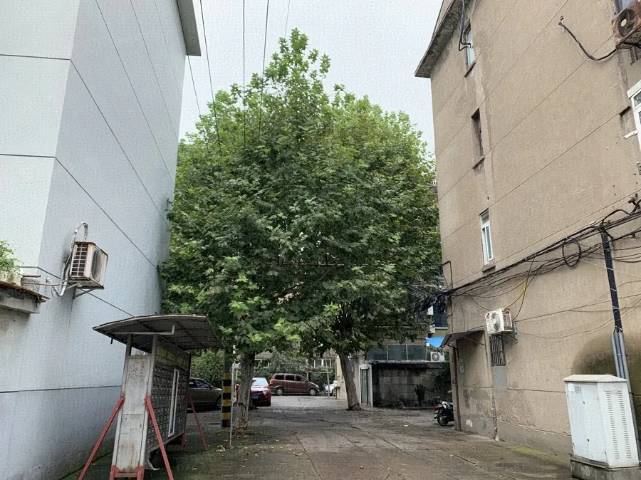 机械新村常州 外景图