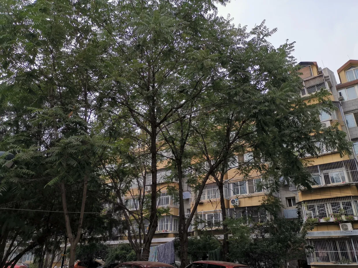 【北京七星园小区,二手房,租房】- 北京房天下