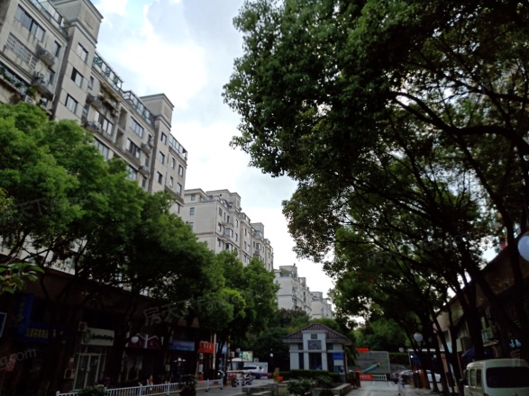 雅戈尔西湖花园实景图