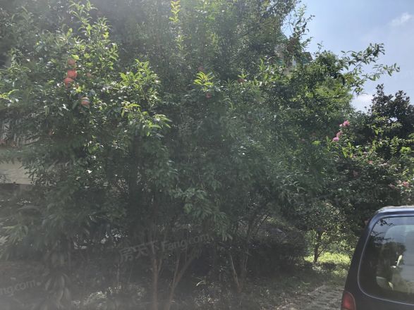 欢乐家园实景图