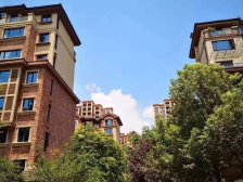 2+1结构、看房方便、价格可刀装修花费了两百万