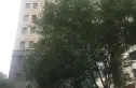 怡海花园恒泰园实景图