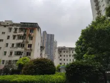 近地铁 电梯房,中间楼层,新上房源