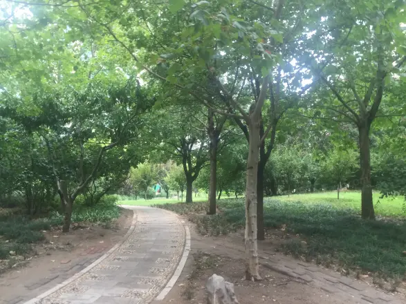 怡海花园恒泰园实景图