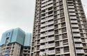 合景领峰实景图