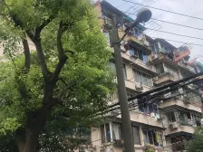 殷行路305弄小区1室东朝向90.00万元/套出售