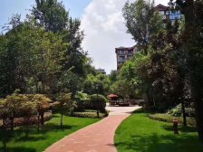 钓鱼嘴半岛 康田栖樾小高层二房66万