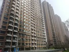 第一国际新区 3室2厅 南 北