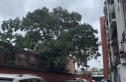 新华街二里实景图