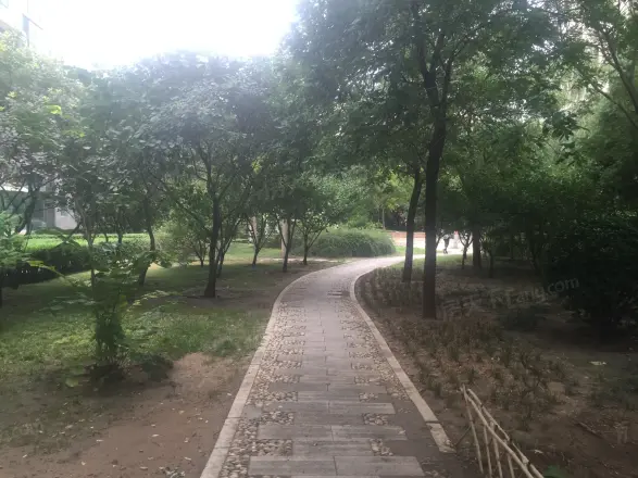 怡海花园恒泰园实景图