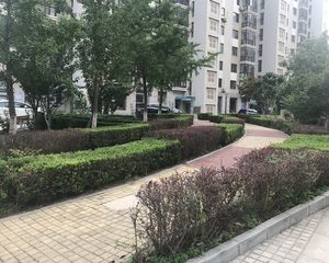 房子装修好位置好带大平台实际面积比房本大很多