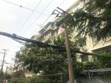 8号线地铁+美丽家园+一梯两户+有坡顶+阳光好+满五诚售