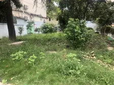 中原 · 殷行路451弄 · 2室 · 1厅