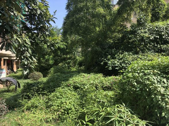 欢乐家园实景图